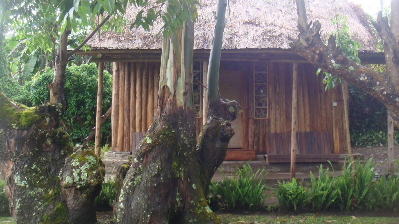 Kalitusi Nature Resort フォート・ポータル エクステリア 写真